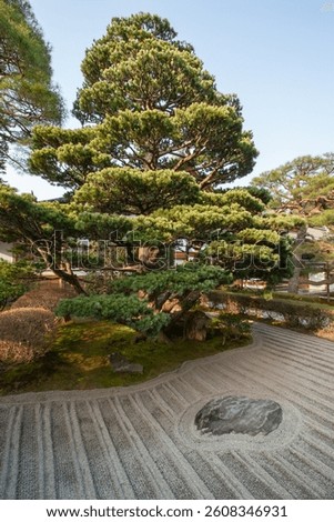 Traditional Japanese Zen garden featuring a sculpted pine tree and carefully raked gravel patterns surrounding a large stone, symbolizing harmony and mindfulness.