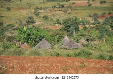 Traditional Konso Tribe Village