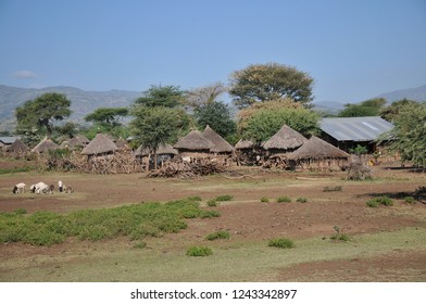 Traditional Konso Tribe Village