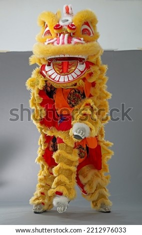 Traditional lion dance on action