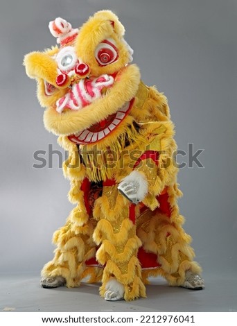 Traditional lion dance on action