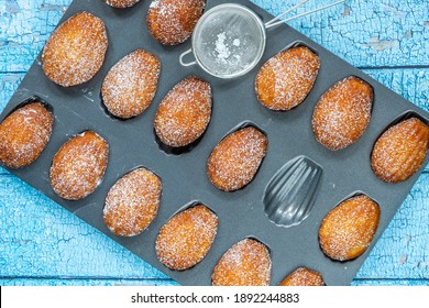 Traditional Madeleines Cakes Dusted With Icing Sugar - Overhead View