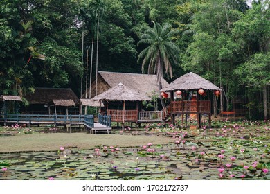 Traditional Malay Village With Pond Of Water Lilies