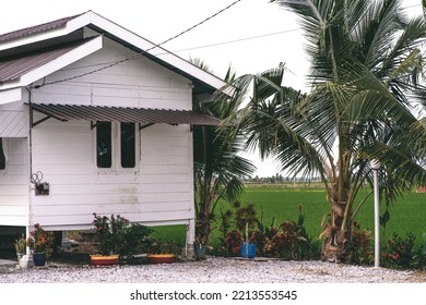 Traditional Malaysian Village House Near The Rice Paddy Field..