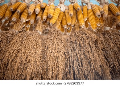 A traditional method in Java, Indonesia for storing and hanging dry rice and corn harvests in traditional rice barns or at a house.