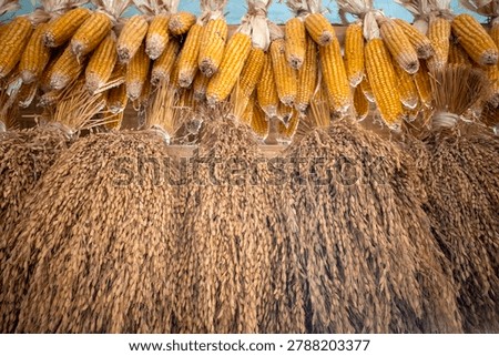 A traditional method in Java, Indonesia for storing and hanging dry rice and corn harvests in traditional rice barns or at a house.