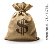 Traditional Money Bag for Storage and Security