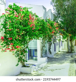 Traditional Narrow Streets And Houses Architecture Detail In Greece Beautiful Scenic Old Ancient White Houses With Pink Flowers. Popular Tourist Travel Destination, Summer Vacation