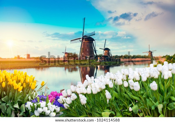 オランダの国側 典型的な風車とチューリップを持つオランダのオランダ風景 の写真素材 今すぐ編集