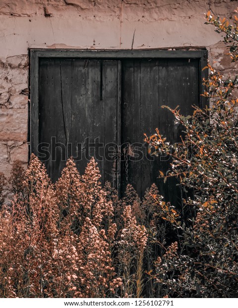 Traditional old house\
door