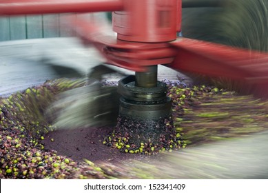 Traditional Olive Oil Pressing Mill In Production