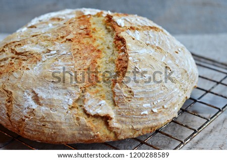 Similar – Image, Stock Photo A round loaf of bread lies on baking paper and is about to go into the oven