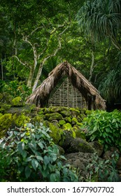 Traditional Polynesian Thatched Hut in Lush Jungle