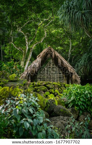 Traditional Polynesian Thatched Hut in Lush Jungle