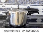 Traditional Portrait stainless pressure cooker