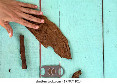 traditional process of making cigars in close-up. A man rolls a tobacco leaf into a cigar. The valley of Vinales Cuba. Ingredients and tools for producing cigars on the table. view from the top.