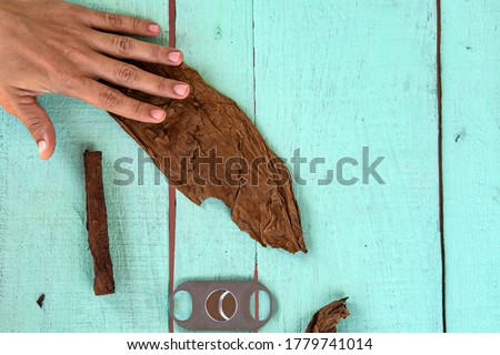 traditional process of making cigars in close-up. A man rolls a tobacco leaf into a cigar. The valley of Vinales Cuba. Ingredients and tools for producing cigars on the table. view from the top.