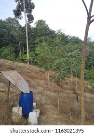 traditional rainwater harvesting