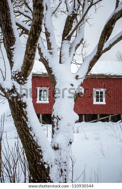 Traditional Red Rorbu Cabins Winter Reine Stock Photo Edit Now