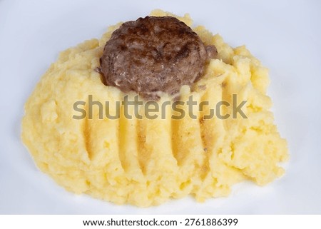 Traditional rustic presentation of meat and mashed side dish. Warmtoned rustic display featuring sliced cutlet and smooth mashed accompaniment in minimal background