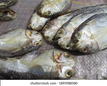Traditional salted fish processing does not use formalin