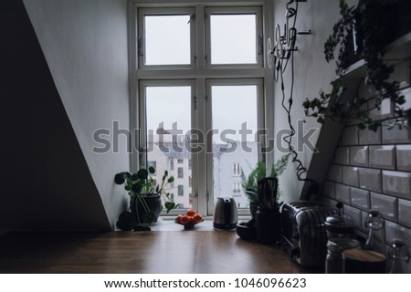  Traditional  Scandinavian Kitchen  Classic White Interior 