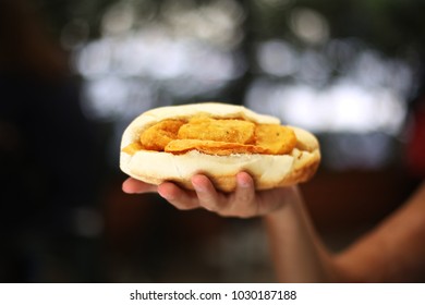 Traditional Sicilian Street Food Sandwich Hold In Hand