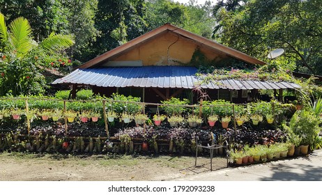 A Traditional South East Asian Village House With Front Garden Pots