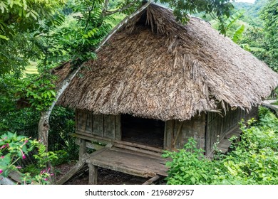 A Traditional Stilt House Of Muong Ethnic People In Giang Mo Village, Hoa Binh Province, Vietnam.	