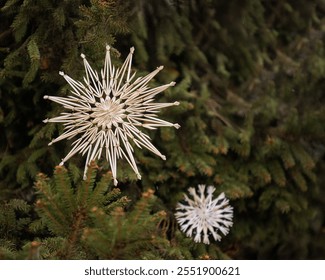 Traditional straw star ornaments hanging on a green Christmas tree, showcasing rustic holiday decor - Powered by Shutterstock