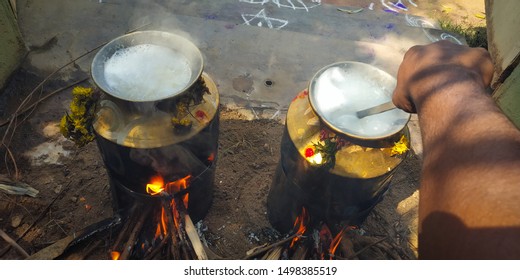 Traditional Thai Pongal Festival Celebration Harvest Dedicated Farmers Celebration To Sun God Rangoli Bronze Pot Lamp Wood Fire Stove