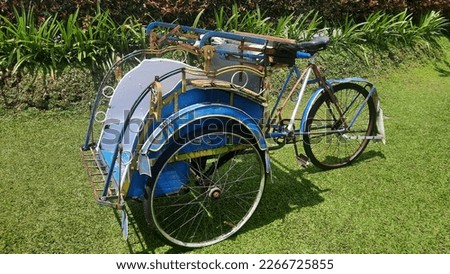 Traditional three-wheeled transportation or pedicab which is driven by paddles parked on green grass on a sunny day