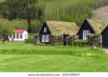 Traditional turf house village in Skogar Open Air Museum, black wooden facade residential buildings with roofs covered with turf and moss, Iceland.