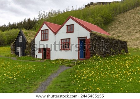 Traditional turf house village in Skogar Open Air Museum, wooden facade Icelandic residential buildings with roofs covered with turf and moss, Iceland.