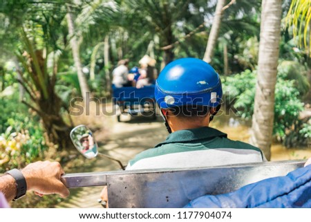 Similar – Image, Stock Photo leaf canopy Environment