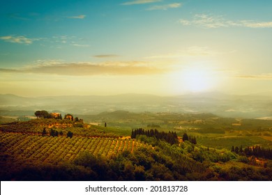 Traditional Villa In Tuscany, Famous Vineyard In Italy