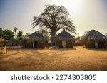 Traditional village houses with a boabab tree in the background in Senegal, Africa. The baobab tree is revered in Senegal, where it is the nation