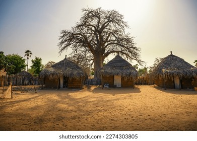 Traditional village houses with a boabab tree in the background in Senegal, Africa. The baobab tree is revered in Senegal, where it is the nation's symbol.