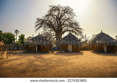 Traditional village houses with a boabab tree in the background in Senegal, Africa. The baobab tree is revered in Senegal, where it is the nation's symbol.