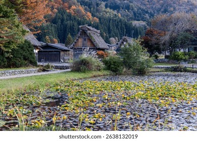 Traditional village houses with steep thatched roofs in Shirakawa-go, Japan by a calm pond covered in yellow leaves and backed by vibrant autumn forest