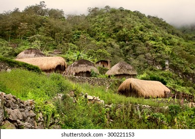A traditional village in Papua, Indonesia , New Guinea Island