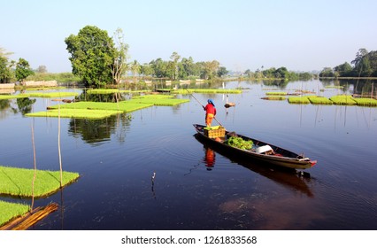 

Traditional Wetland Farmer 