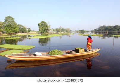 Traditional Wetland Farmer