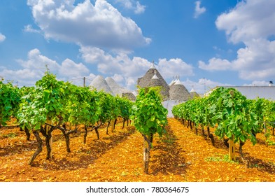 Traditional white trulli houses surrounded with vineyards in Alberobello in Puglia, Italy.