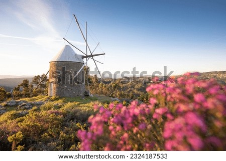 Traditional windmills in Central Portugal. Sunset in Coimbra, Portugal. Beautiful sunny day. Flowers, trees and grass. Turism concept