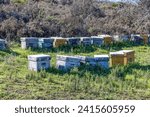 Traditional wooden bee hives in huelva mountains for the pollination of plantations and obtaining honey