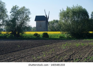 Traditional wooden windmill and 
rapeseed field - Poland, Zulawy, Mokry Dwor - Shutterstock ID 1405481333