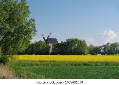 Traditional wooden windmill and 
rapeseed field - Poland, Zulawy, Mokry Dwor - Shutterstock ID 1405481339