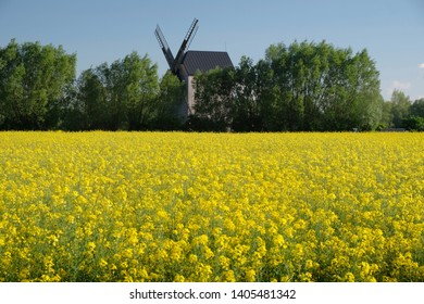 Traditional wooden windmill and 
rapeseed field - Poland, Zulawy, Mokry Dwor - Shutterstock ID 1405481342