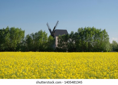 Traditional wooden windmill and 
rapeseed field - Poland, Zulawy, Mokry Dwor - Shutterstock ID 1405481345